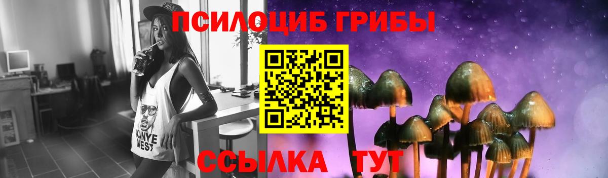 Галлюциногенные грибы GOLDEN TEACHER  Вход с VPN  Партизанск 